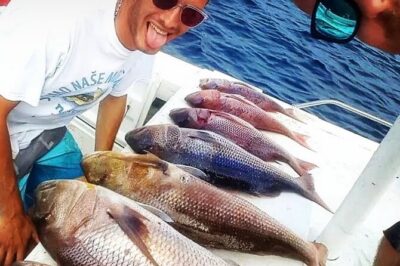 Kotor Private Fishing Adventure Blue Cave And Lunch