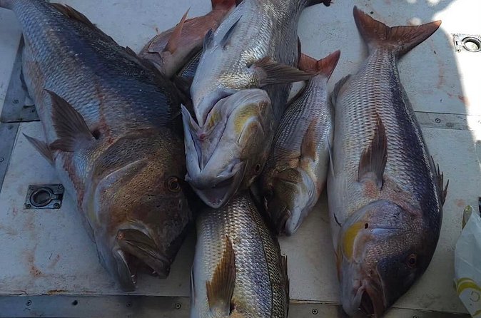 Kotor Private Fishing Adventure Blue Cave And Lunch - What to confirm before you pay