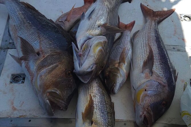 Kotor Private Fishing Adventure Blue Cave And Lunch - Who will enjoy this Kotor fishing trip most