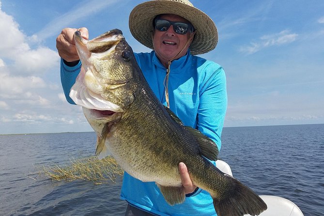 Lake Okeechobee Fishing Trips Near Palm Beach Florida - Bird watching and alligators add variety