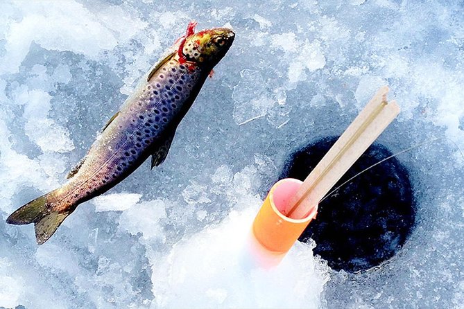 Lakeside Sauna Trip with Ice Fishing and Ice Swimming - What the $196 price really covers