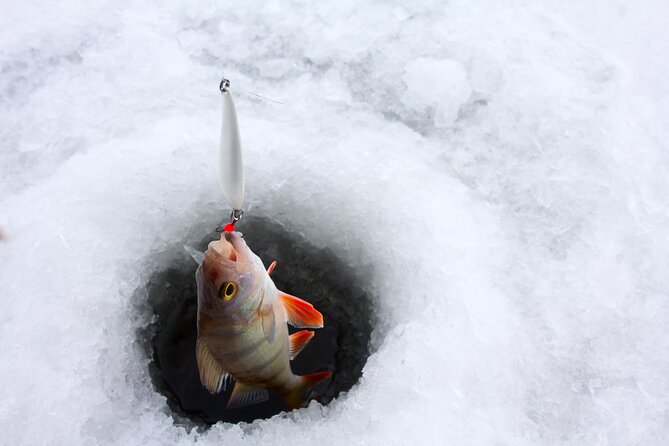 Lapland Ice Fishing Experience from Rovaniemi - Leaving Rovaniemi for the Arctic woods
