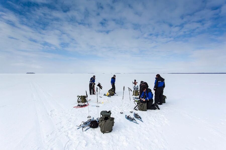 Lapland: Ice Fishing, Floating & BBQ Snow Adventure - Into Lapland’s Arctic Forest