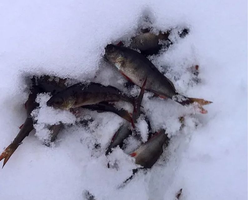 Lapland: Ice Fishing, Floating & BBQ Snow Adventure - Is $281 a Fair Price?