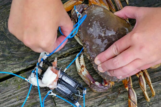 Learn to Catch and Cook Crab under Golden Gate Bridge SF - Is $150 a fair price?