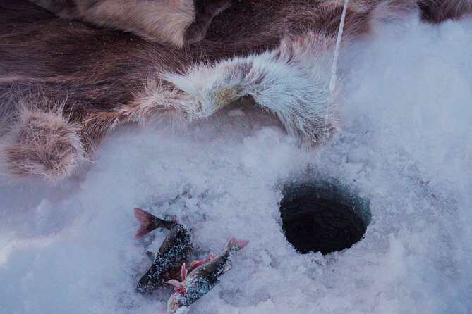Levi Ice Fishing Experience in the Wild with Campfire Treats - What the three-hour schedule really gives you