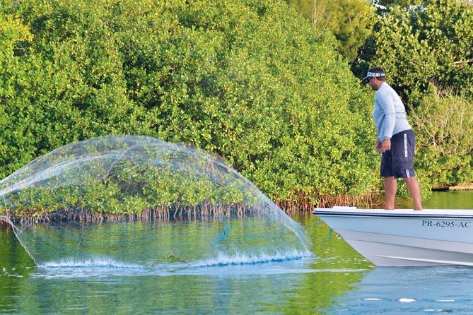 Light Tackle Tarpon Fishing - What the four-hour charter feels like