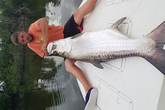 Light Tackle Tarpon & Snook Fishing Charter - The fish you may encounter