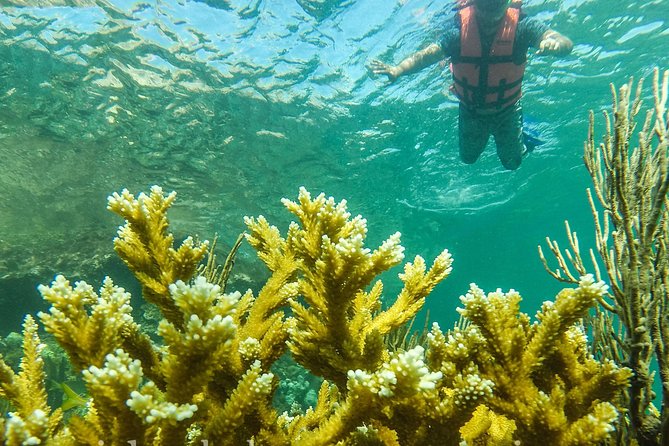Local Fishing Plus Snorkeling Tour in Isla Mujeres - A fishing trip that does not stop at the fishing