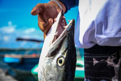 Local Fishing Plus Snorkeling Tour in Isla Mujeres