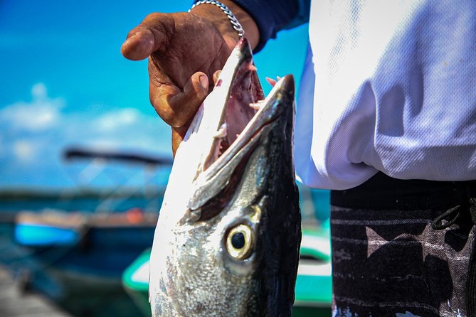 Local Fishing Plus Snorkeling Tour in Isla Mujeres - What the private format means for your group