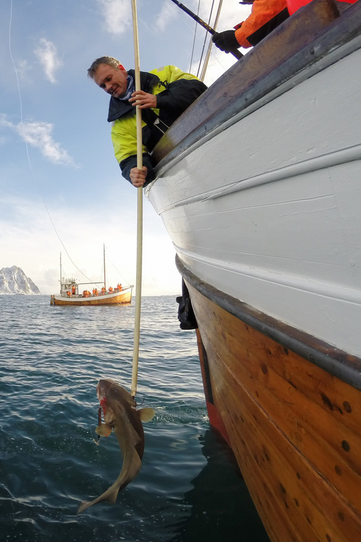 Lofoten: Traditional Fishing Trip - Quick points before you book