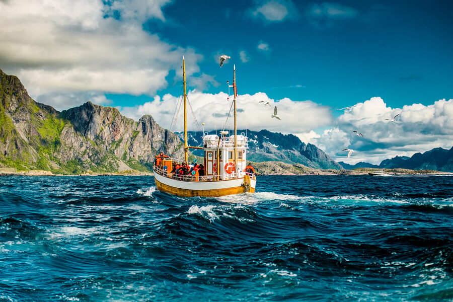 Lofoten: Traditional Fishing Trip - Four hours aboard the MS Symra