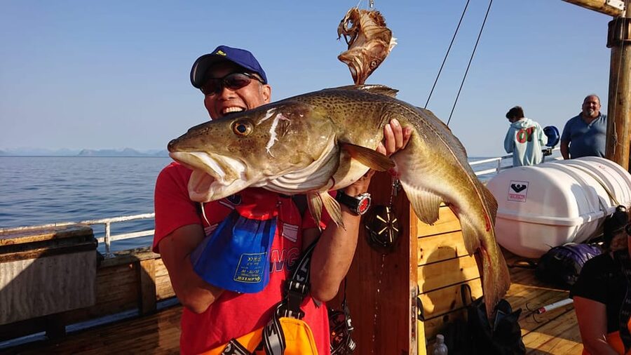 Lofoten: Traditional Fishing Trip - Filleting your catch on board