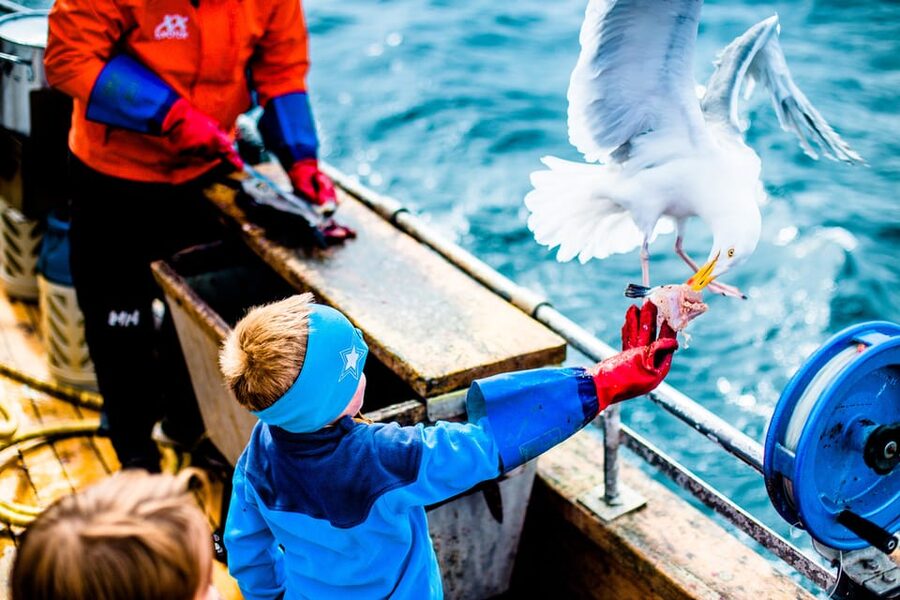 Lofoten: Traditional Fishing Trip - Flexible booking and weather planning
