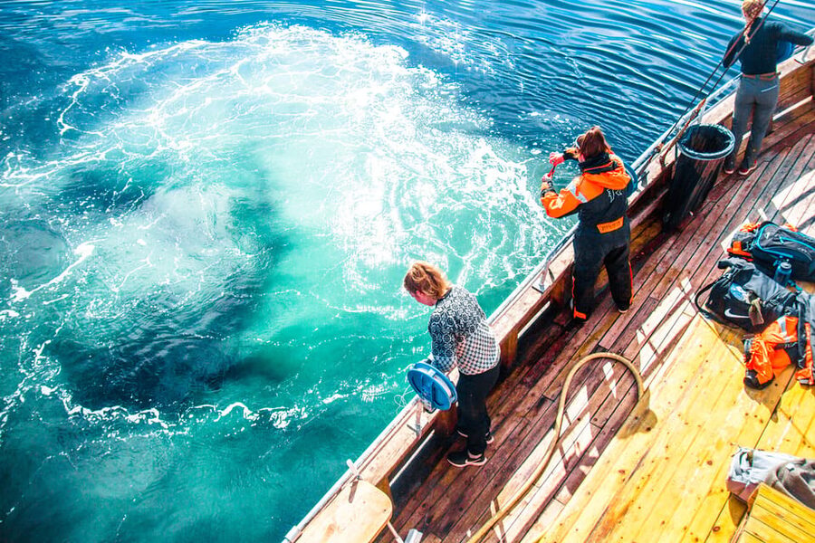 Lofoten: Traditional Fishing Trip - My verdict on the Lofoten fishing trip