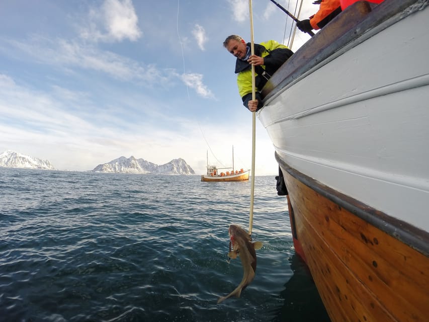 Lofoten: Traditional Fishing Trip - Fishing for skrei, cod, and pollock