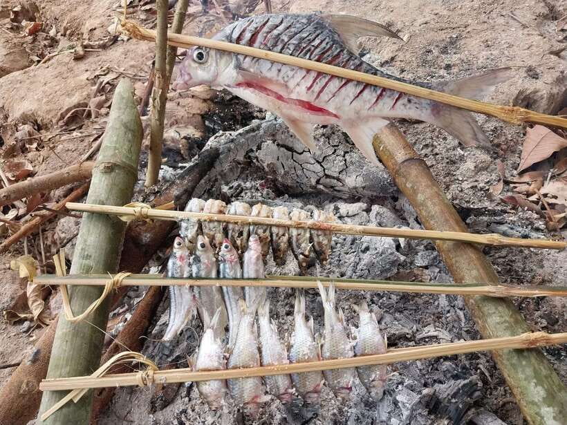 Luang Prabang: Mekong Fishing with a Local Fisherman & Lunch - Learning fishing methods passed down through generations