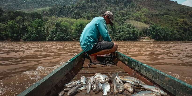 Luang Prabang: Mekong Fishing with a Local Fisherman & Lunch - Is $69 a fair price?