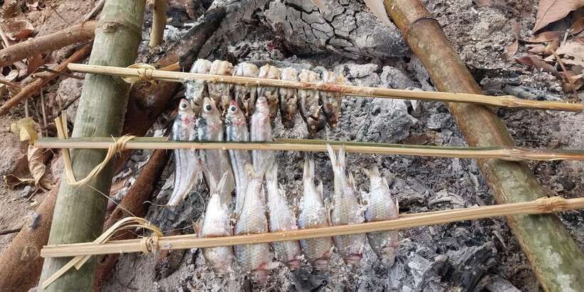 Luang Prabang: Mekong Fishing with a Local Fisherman & Lunch - What to bring for a smoother morning