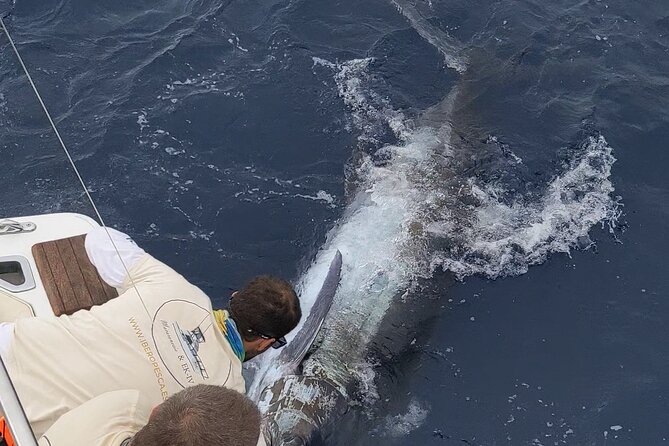 Macaronesia Charter Fishing in Lanzarote (Canary Islands) - Setting out from Playa Blanca