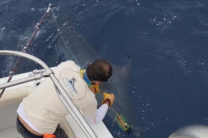 Macaronesia Charter Fishing in Lanzarote (Canary Islands) - What an eight-hour charter feels like