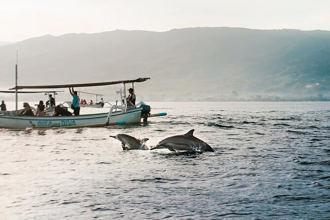 Mahi - Mahi Fishing Tour at North Bali Indonesia - Is $120 Good Value?