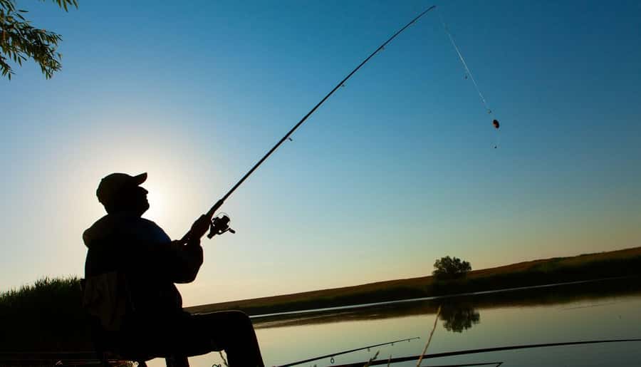 Manaus : A day of fishing on the Rio Negro - The boat, transfers, and practical comfort