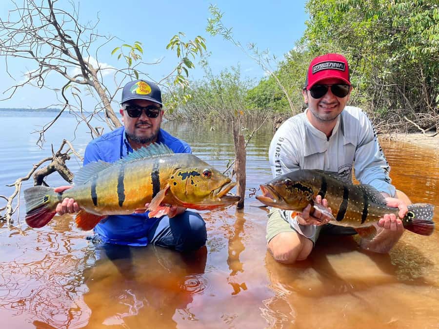 Manaus : A day of fishing on the Rio Negro - Who will enjoy this day most