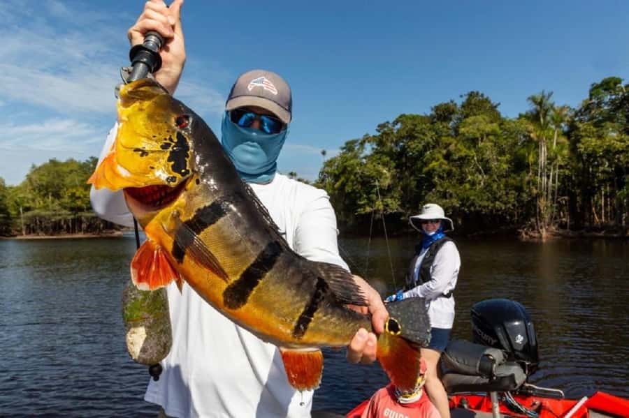 Manaus : A day of fishing on the Rio Negro - Booking details that matter