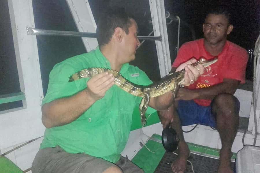 Manaus: Piranha Fishing and Alligator Watch Evening Tour - How the five-hour schedule may work in practice