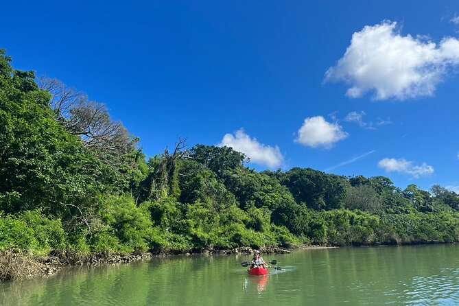 Mangrove Kayak ＆ Sea Fishing Experience in Okinawa - What the facilities mean for your day