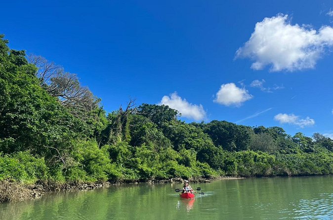 Mangrove Kayak ＆ Sea Fishing Experience in Okinawa - My recommendation