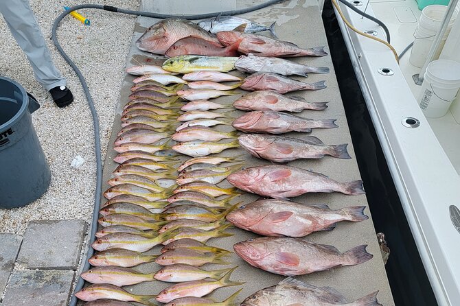 Marathon Florida Keys Fishing Experience - How the price works for a small group
