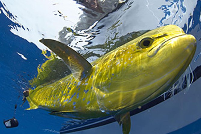 Marathon Offshore Fishing Charter - Meeting the captain at 3502 Gulfview Avenue