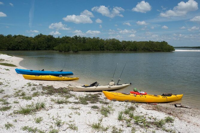 Marco Island Inshore Fishing Charters - Key points to know before you book