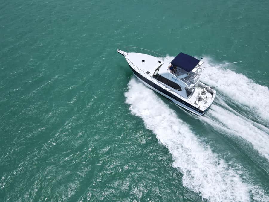 Mauritius: Big Game Fishing Trip from Grand Baie - What a typical fishing day feels like