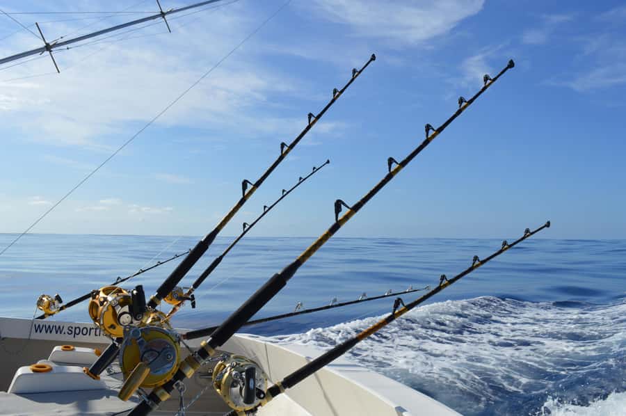 Mauritius: Big Game Fishing Trip from Grand Baie - Sea conditions and comfort concerns