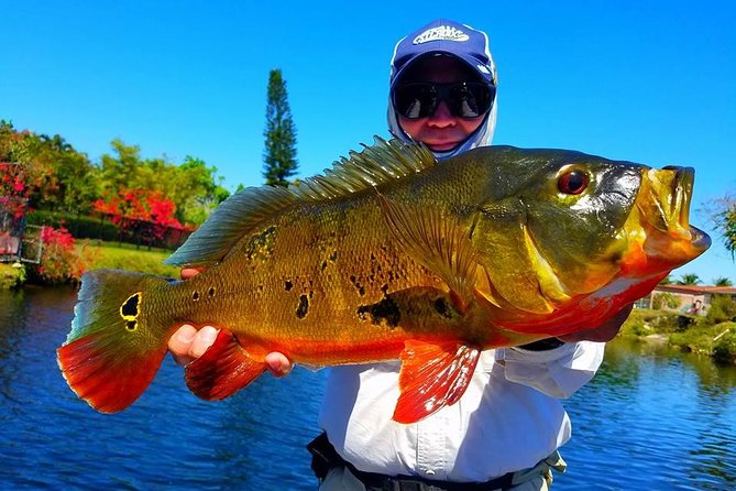 Miami Airport Lakes Peacock Bass Fishing Trip (1 to 4 ppl) - Key details before you book