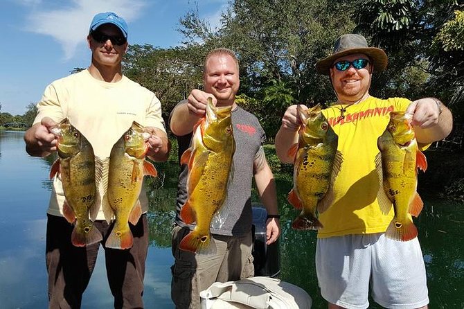 Miami Airport Lakes Peacock Bass Fishing Trip (1 to 4 ppl) - Airport Lakes: Miami fishing with an unusual setting