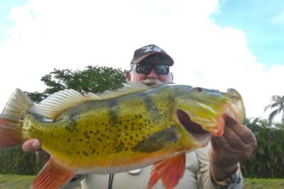Miami Airport Lakes Peacock Bass Fishing Trip (1 to 4 ppl)