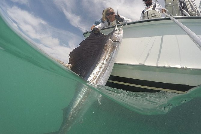 Miami Big Game Deep Sea Fishing Charter - The private-group price and its real value