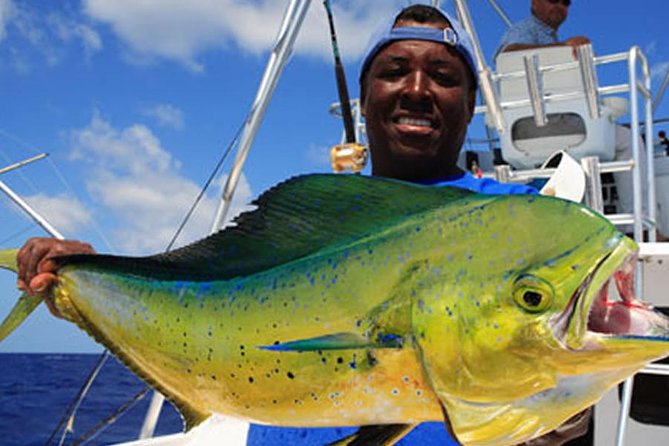 Miami Deep Sea Fishing Charters - What You Actually Get on the Boat