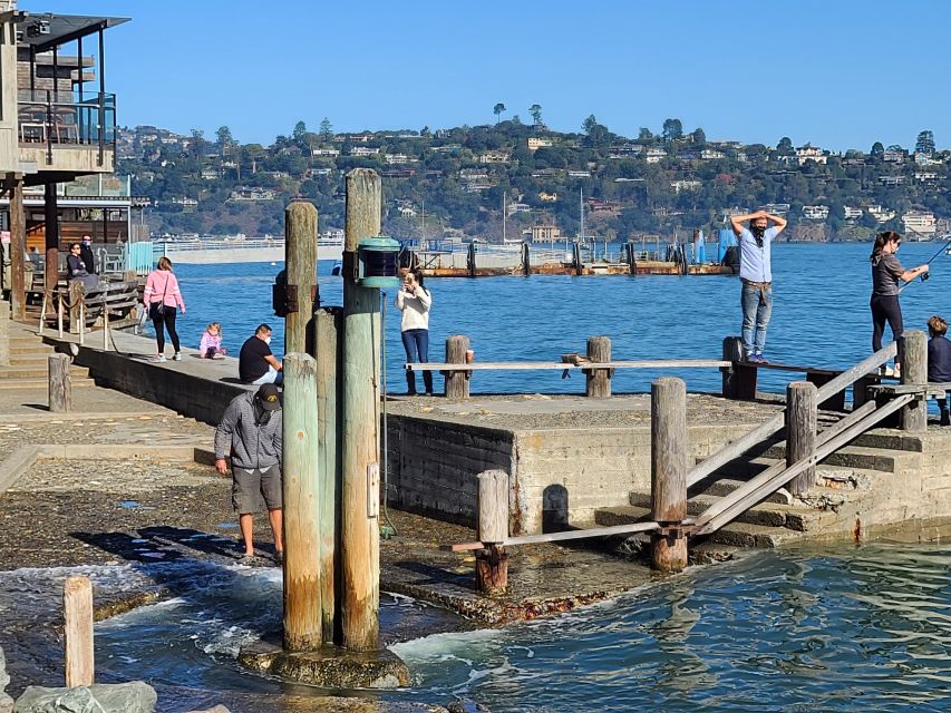 Muir Woods, Sausalito and Ferry back to Fisherman's Wharf - Why Muir Woods makes this half-day worthwhile