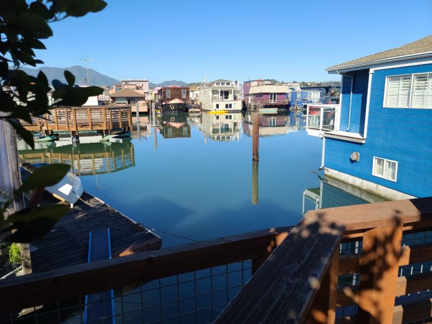 Muir Woods, Sausalito and Ferry back to Fisherman's Wharf - Final call: book it for variety, not just redwoods