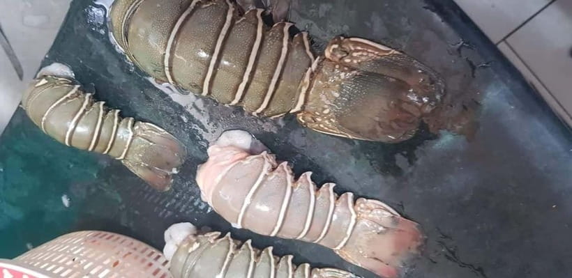 Mumbai Coastal Cooking: From Fishing Net to Flavourful Plate - Key points at a glance