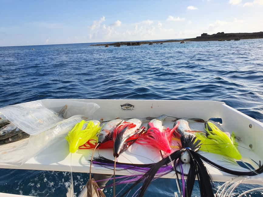 Nassau: Sport-fishing private charter . - What four hours on the boat may feel like