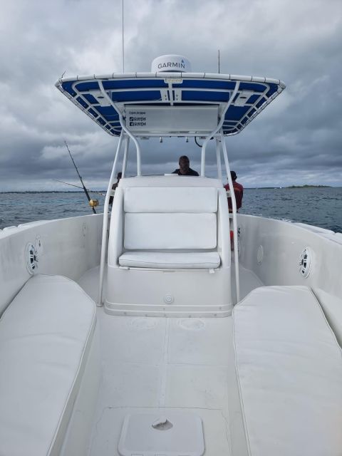 Nassau: Sport-fishing private charter . - The fish you might target