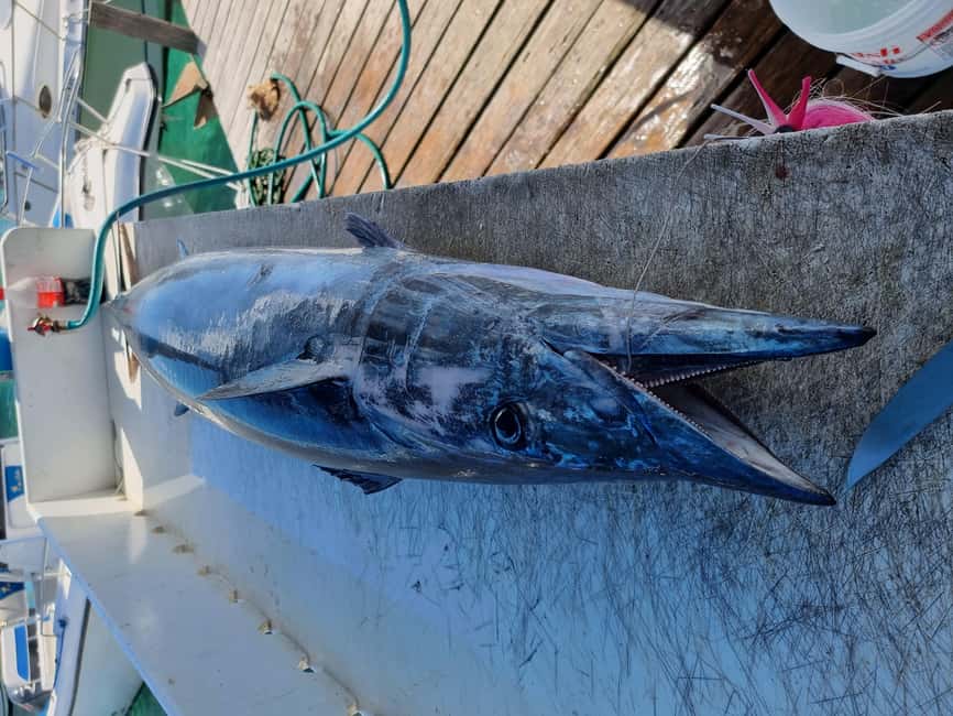 Nassau: Sport-fishing private charter . - What the $1,000 price really means
