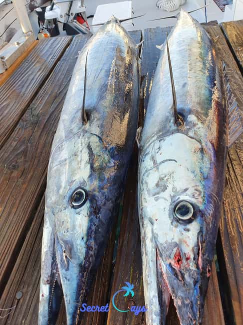 Nassau: Sport-fishing private charter . - Who will enjoy this charter most